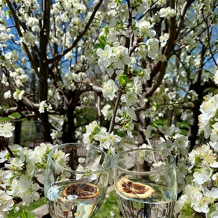 Casa vacanze Vikend Kuca Pod Lipom *