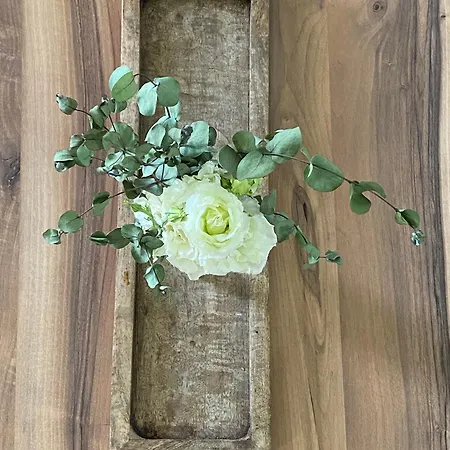 Vikend Kuca Pod Lipom Casa vacanze *